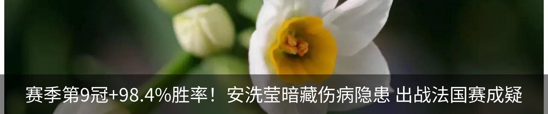 新闻动态
